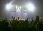 Paul McCartney Back In The USA