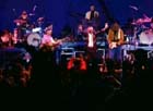THE BEST OF RINGO STARR & HIS ALL STARR BAND