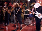 Rock And Roll Circus